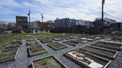 Evicted by Under Armour, Locust Point Community Garden prepares to relocate in December 