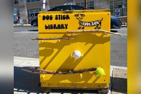 Baltimore artist adds dog stick library to Hampden salt box