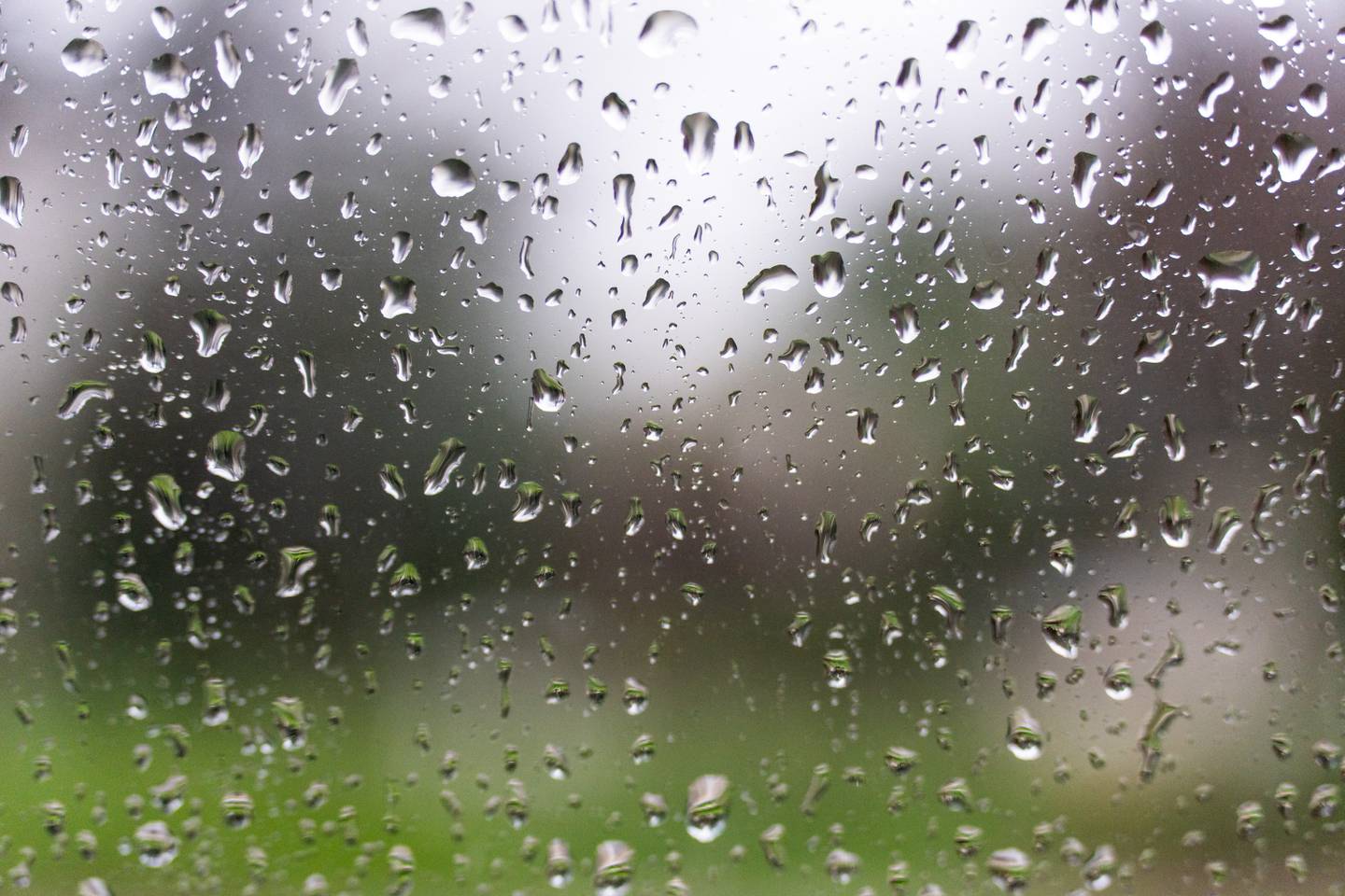 Raindrops are seen on a window.