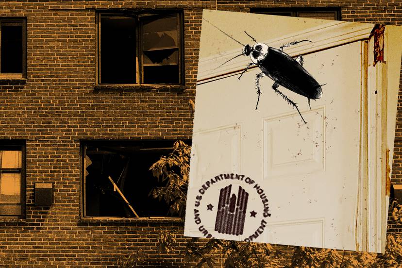 Photo collage shows brick exterior of apartment building with broken glass in the windows. On right side is a close-up photo of a door, with dents and damaged trim. Layered over the door is an image of a cockroach and the seal of the US Department of Housing and Urban Development.
