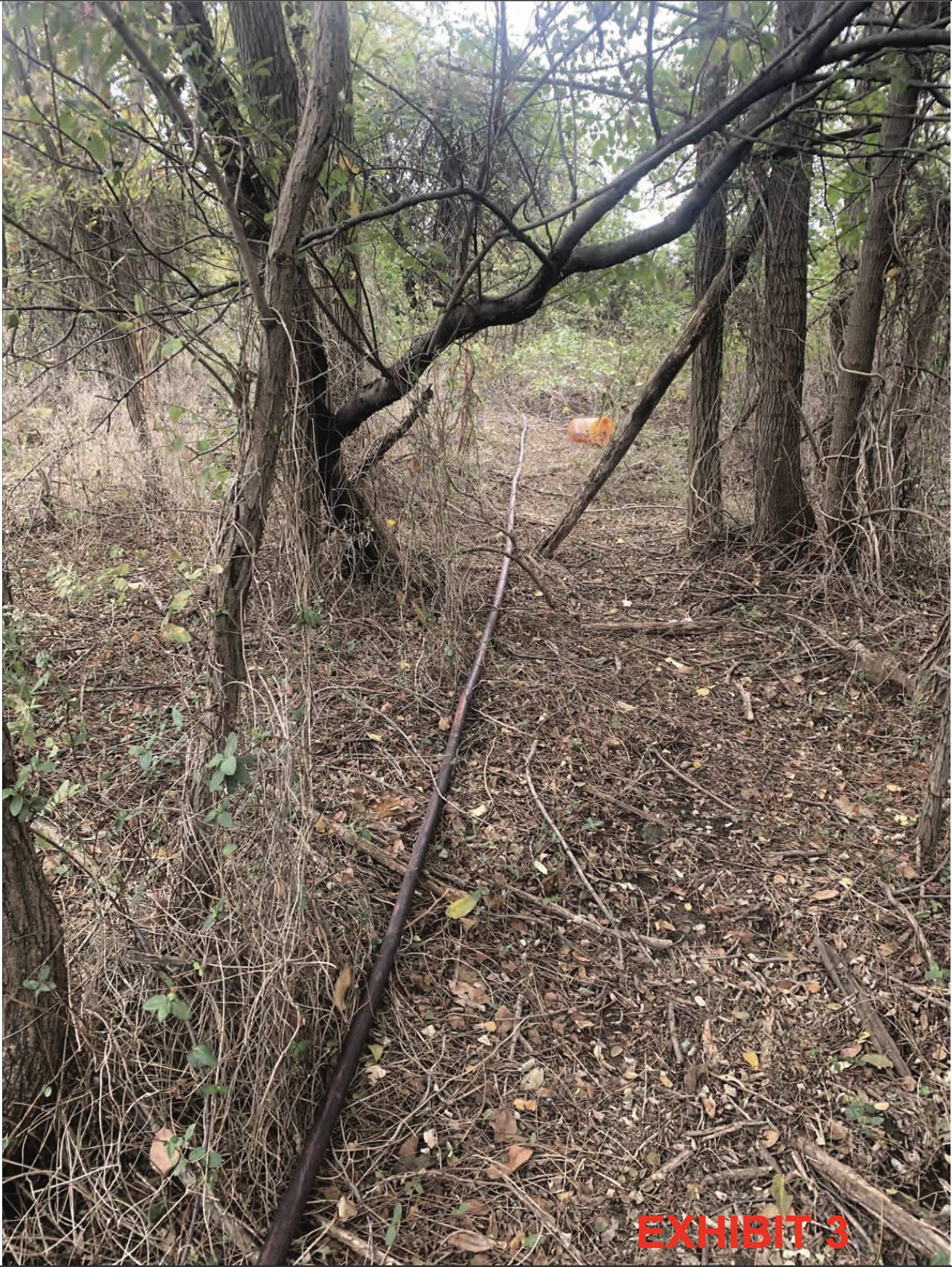 State investigators found that Curtis Bay Energy was discharging wastewater onto an adjacent property via an unpermitted hose that ran through the woods to the property fence line.