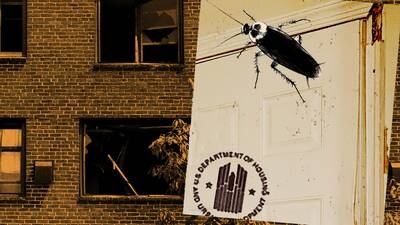 Why 1 in 3 Baltimore public housing sites fail federal inspections