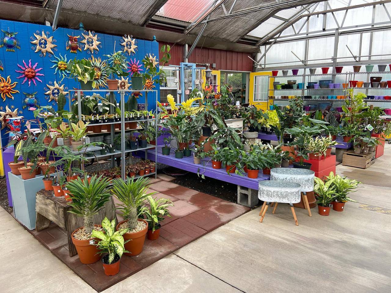 Discover our Upstairs! Houseplants, Homestead supplies, Gifts and More! -  Eastside Urban Farm and Garden Discover our Upstairs! Houseplants,  Homestead Supplies, Gifts and More