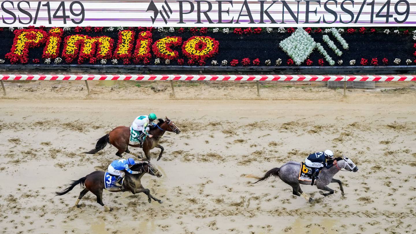 Seize the Gray crosses the finish line at the 149th Preakness Stakes.