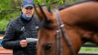 How to train a racehorse: It’s all about communication (with an athlete who can’t talk)