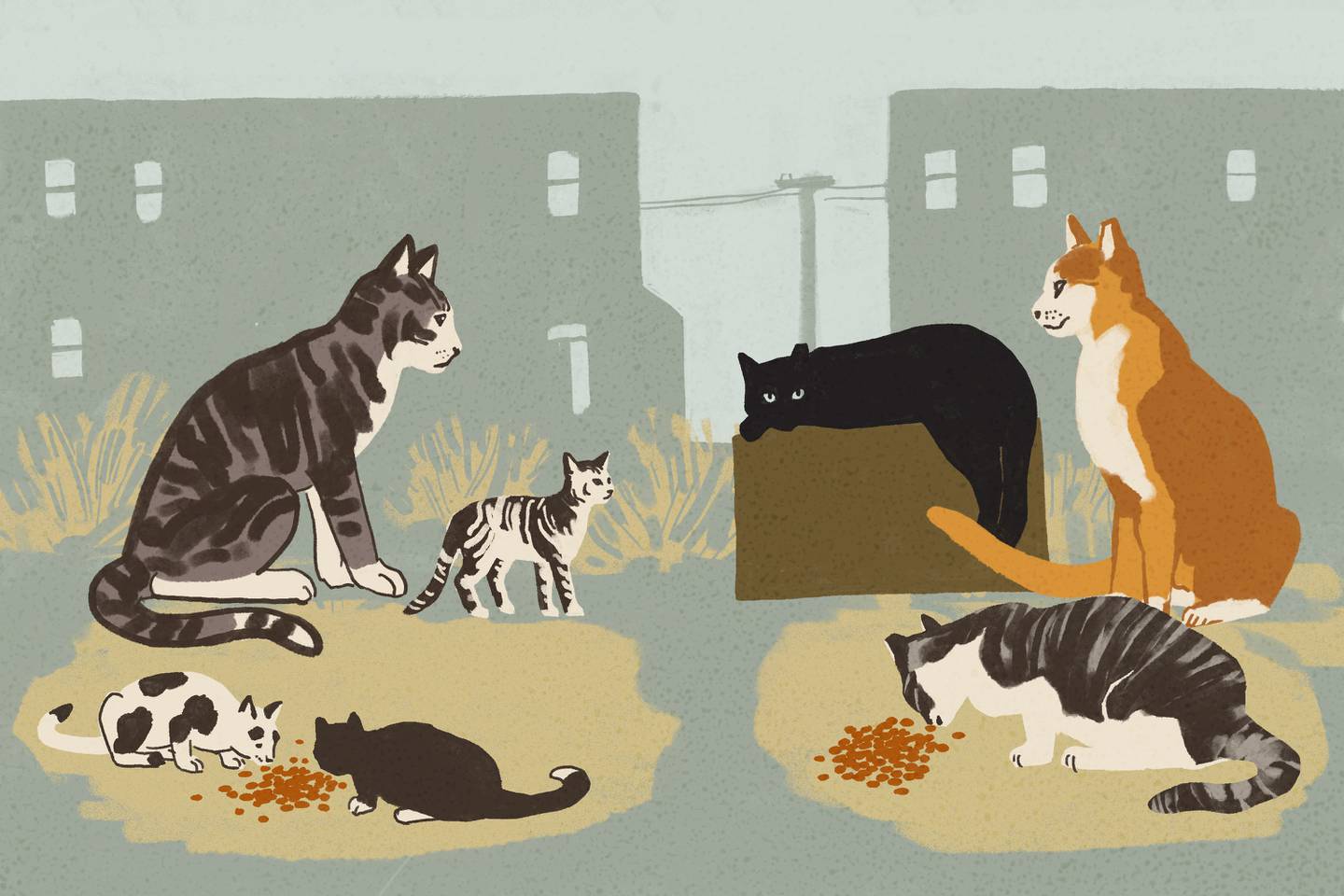Illustration of cat mom with kittens on left side, three adult cats who have been neutered on right side, with row homes in background