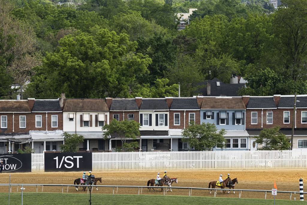 Horses and their handlers prepare to ride during the George E. Mitchell Black-Eyed Susan Stakes at Pimlico on May 19, 2023. 
