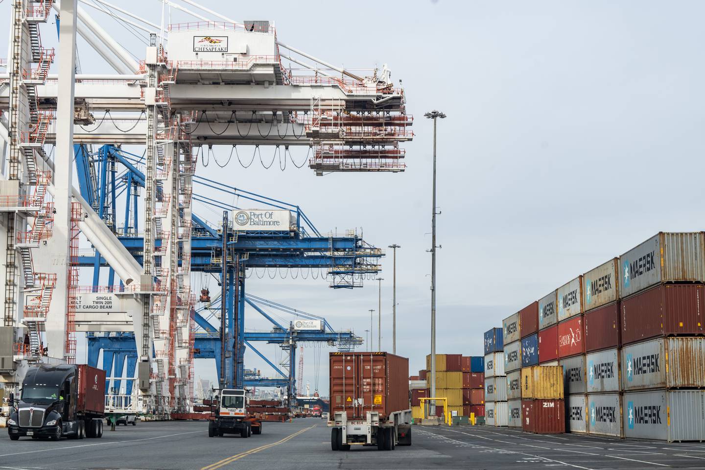 Trucks navigate through the Dundalk Marine Terminal. Cranes line the left side of the frame and shipping containers are stacked on the right.