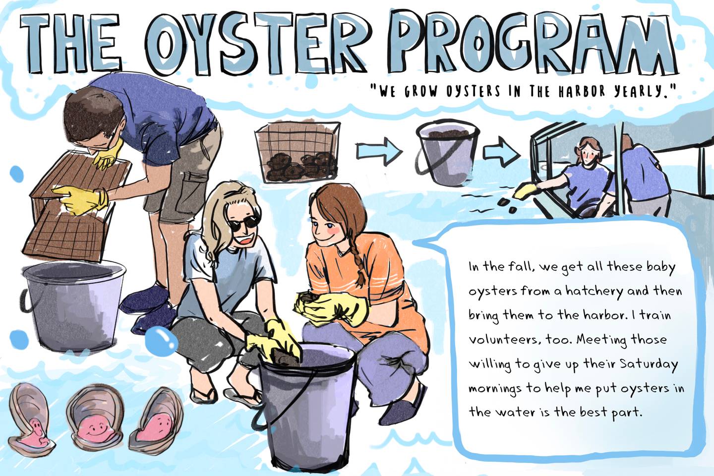 The Oyster Program. We grow oysters in the harbor yearly. In the fall, we get all these baby oysters from a hatchery and then bring them to the harbor. I train volunteers, too. Meeting those willing to give up their Saturday mornings to help me put oysters in the water is the best part.