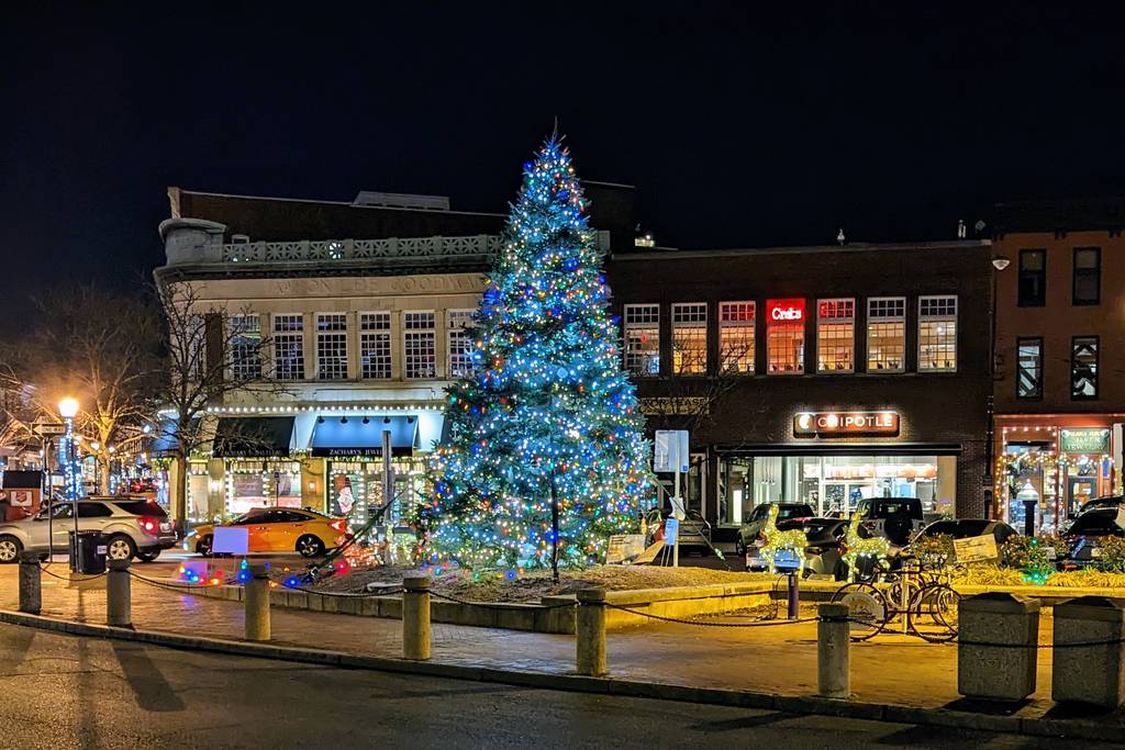 Annapolis will light its tree Sunday, Nov. 26 in the Grand Illumination. It's a tradition stretching back more than a century.