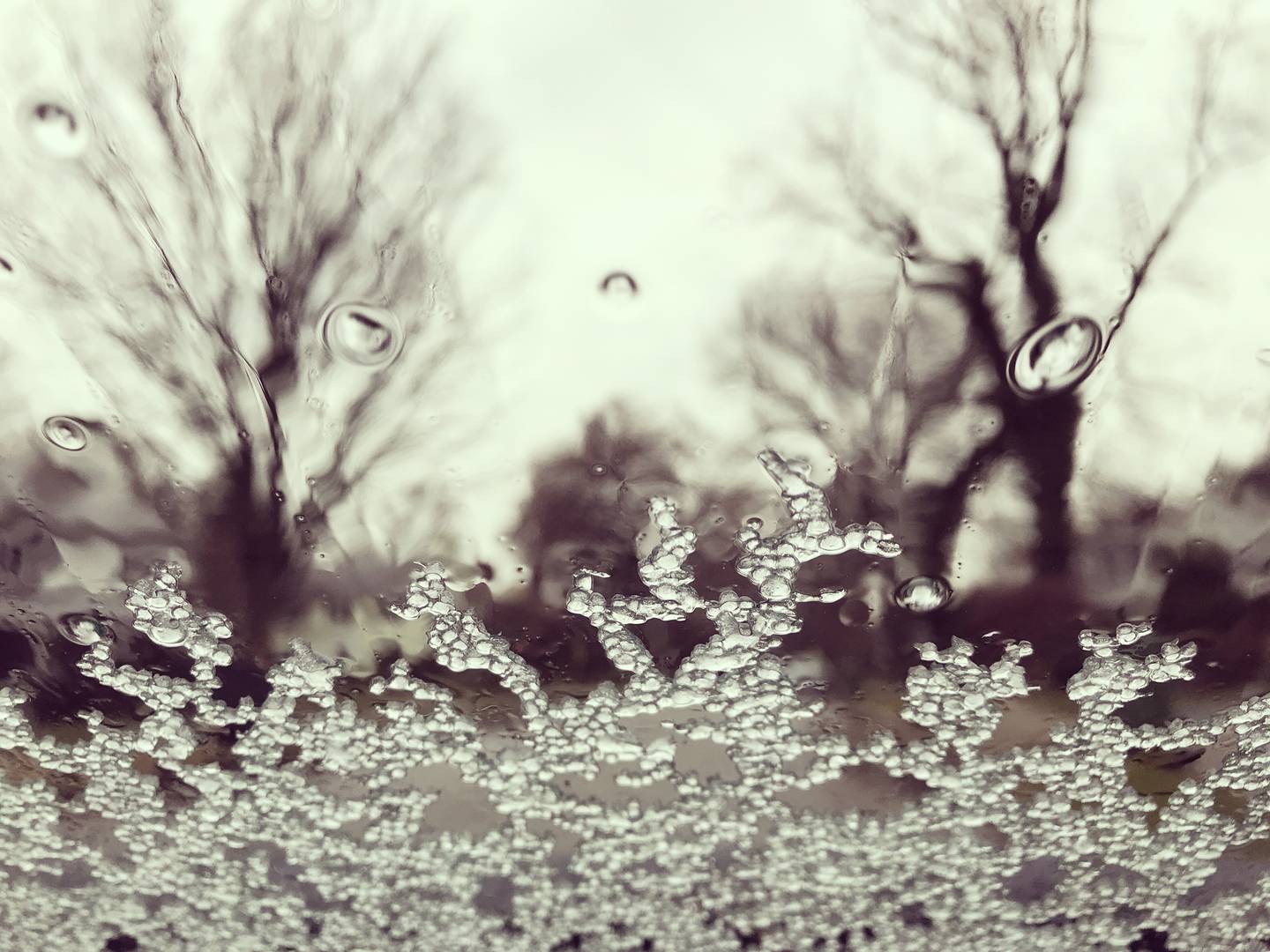 Close up of ice and rain on the windshield of a car with bare winter trees beyond.