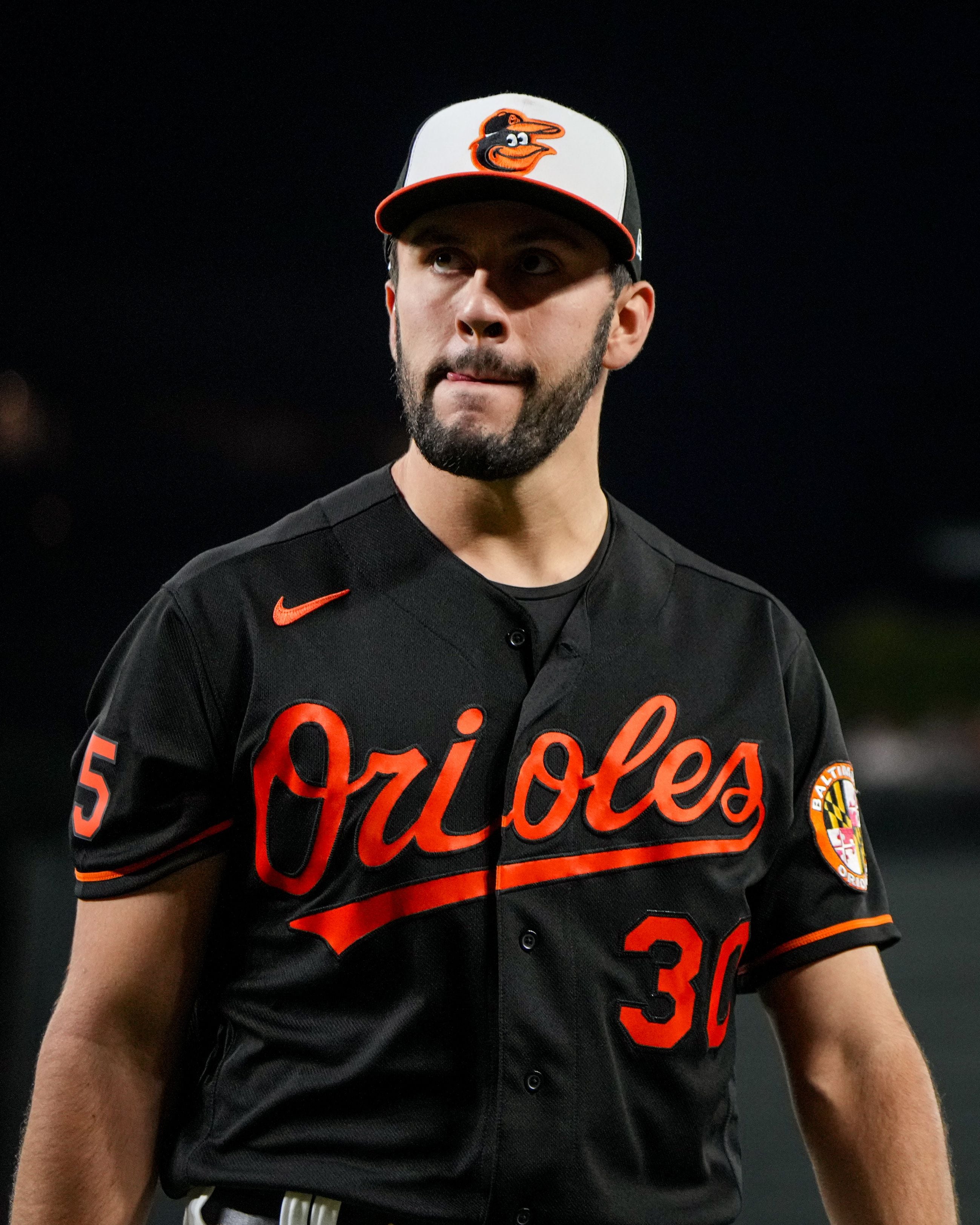 Orioles' season began with hope and took off to greater heights