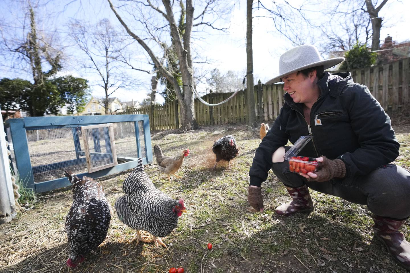 Christa Daring, along with their partner Dan Staples and child Juniper, raise chickens in their backyard in Lauraville on February 3, 2023. They have ten chickens total.