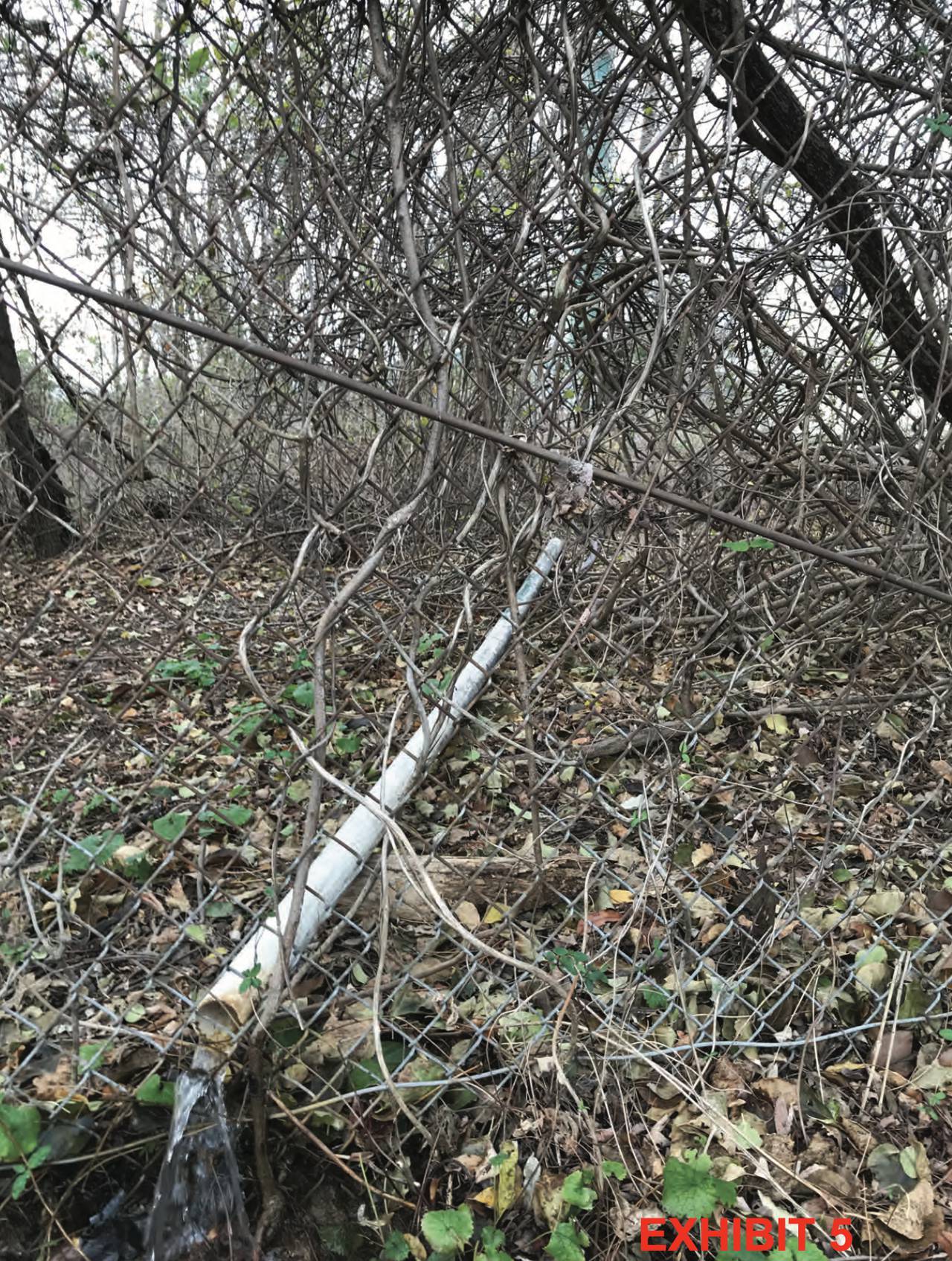 State investigators found that Curtis Bay Energy was discharging wastewater onto an adjacent property via an unpermitted hose that ran through the woods to the property fence line.