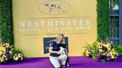 The fastest and bestest girl at the Westminster dog show is from Ellicott City