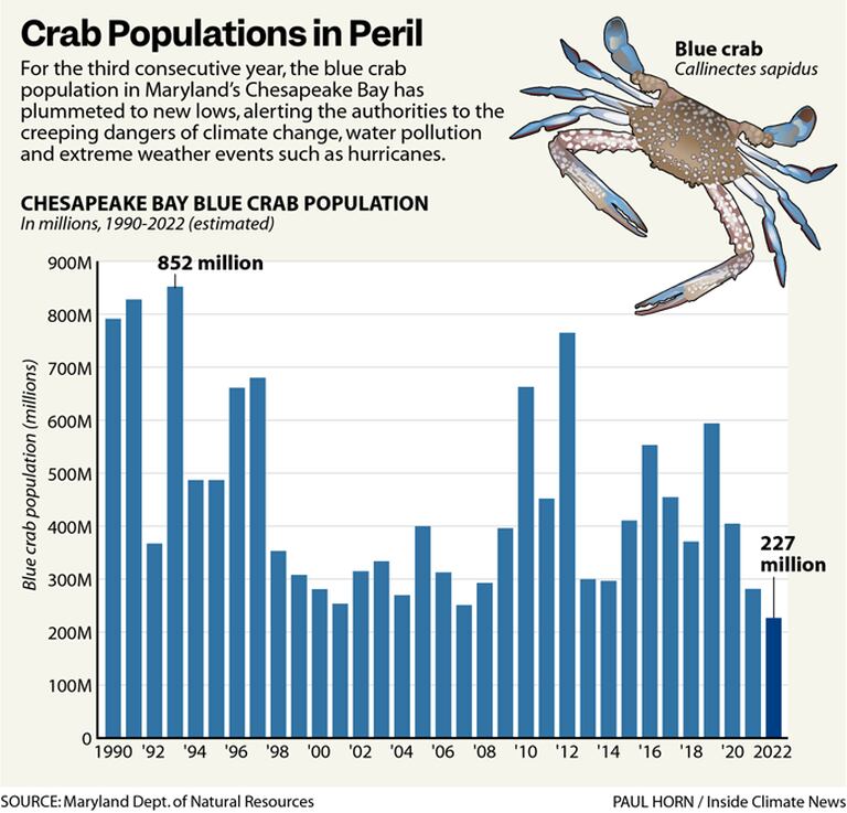 A chart that shows that for the third consecutive year, the blue crab population in the Chesapeake Bay has plummeted to new lows.