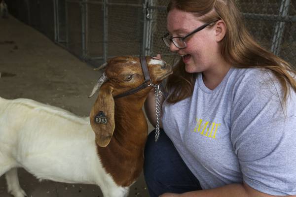 Maryland State Fair means competition — and the circle of life — for young farmers 