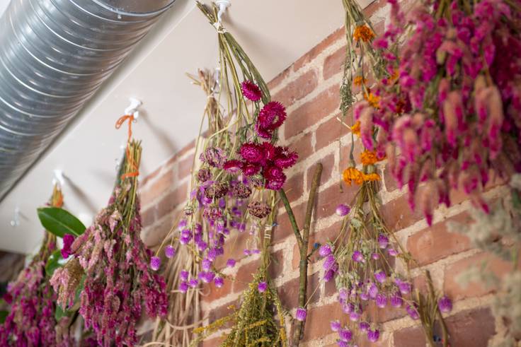 Dried flower arrangements hang from the ceiling at B. Willow in Remington.