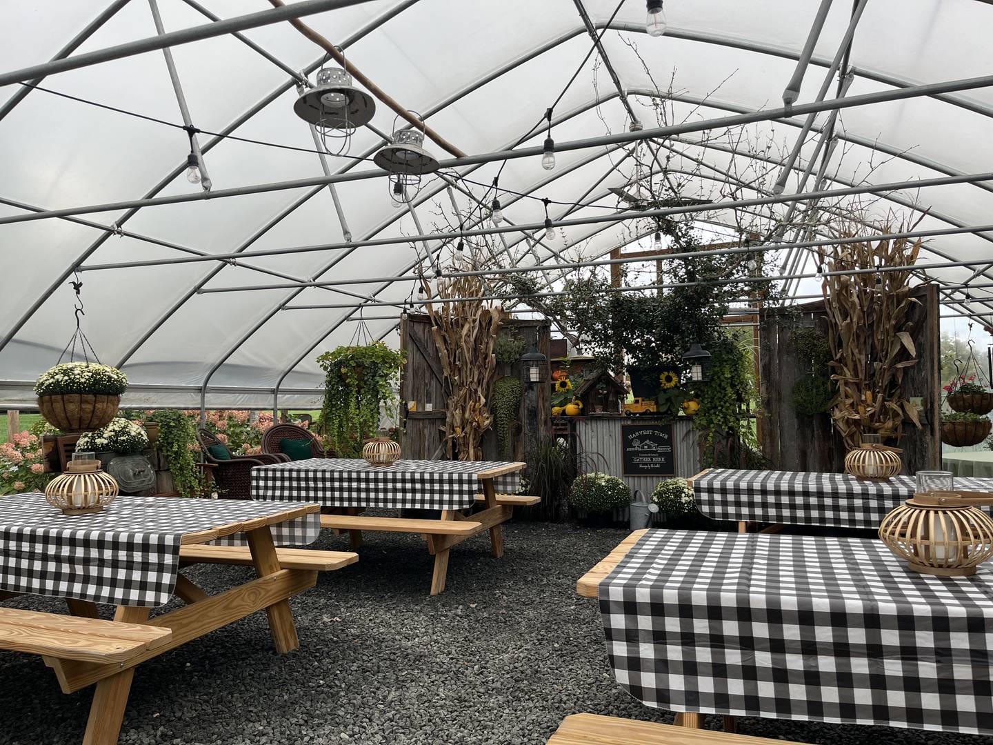 The Barn at 678 Vineyard in Virginia has a greenhouse seating option with flowers and picnic tables.