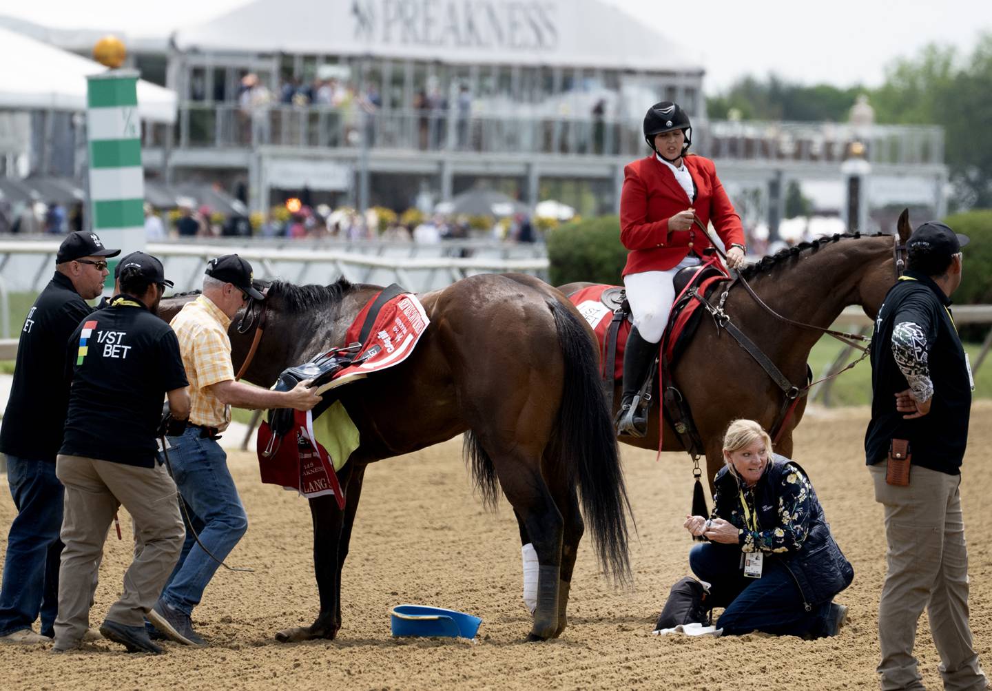 HavnameItdown is stopped by handlers during The Chick Lang Stakes race at Pimlico Race Course on May 20, 2023. The horse was humanly euthanized and jockey Luis Saez taken to the hospital.