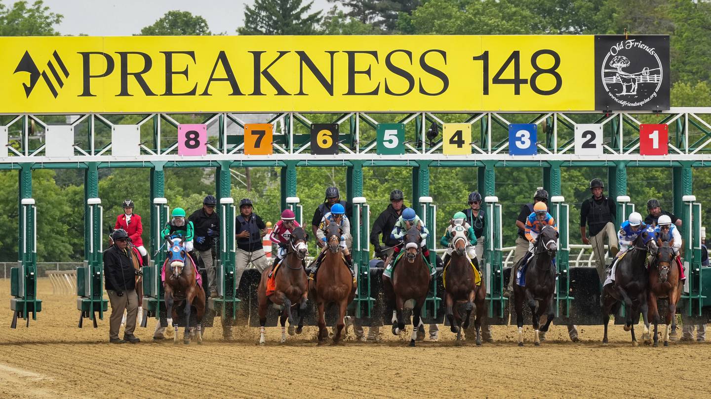 Photo Jockeys and horses take to the track at The Preakness Stakes
