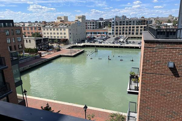 Why is the Inner Harbor that weird color? Green sulfur bacteria are creating a ‘pistachio tide’