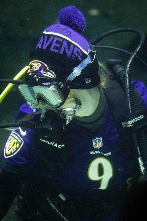 Senior Dive Safety Officer Allison Potter, wearing a Justin Tucker jersey and sporting other Ravens gear, takes the “purple plunge” at the National Aquarium on Friday, Jan. 26, 2024 to support the Ravens’ upcoming AFC Championship on Sunday.