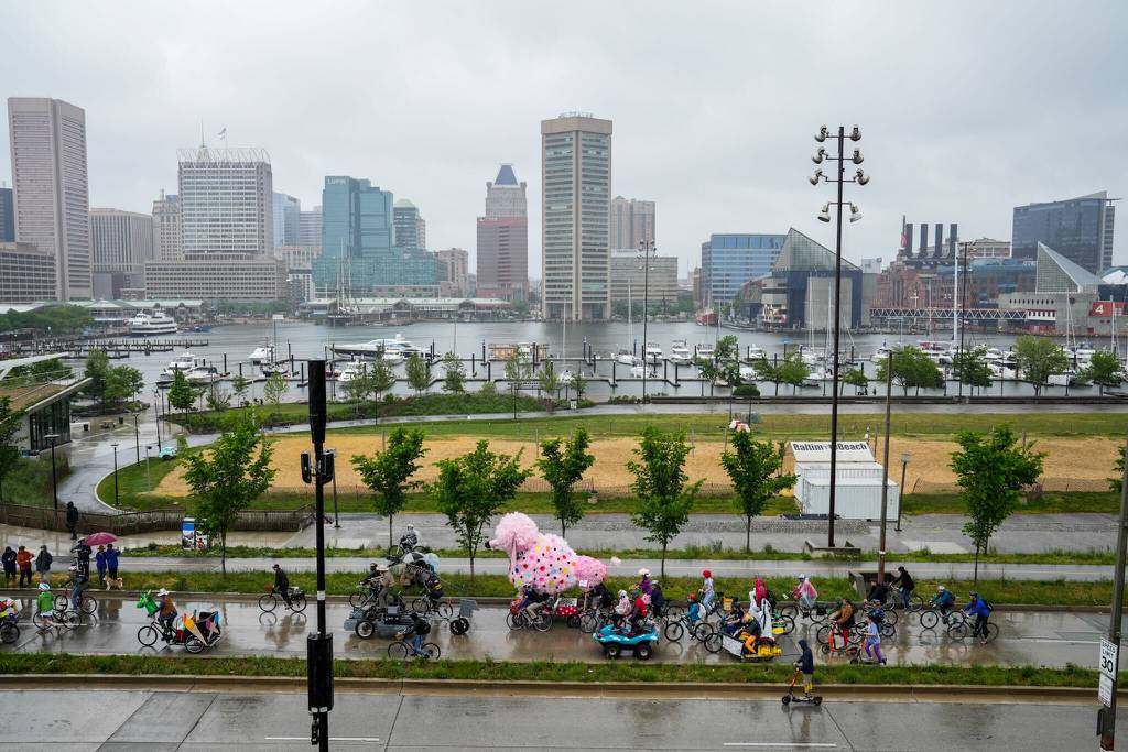 Fifi the poodle proceeds down Key Highway with the Baltimore skyline in the background as rain falls during the Kinetic Sculpture Race on May 4, 2024.