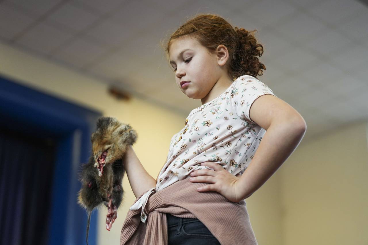 Kinsley Aaron, 10, holds a muskrat for the skinning demonstration.
