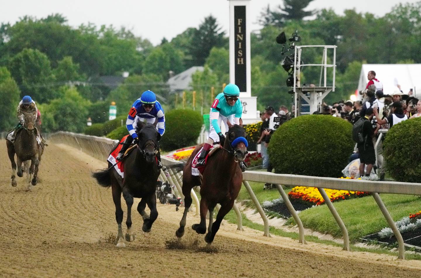 National Treasure wins the 148th Preakness Stakes.