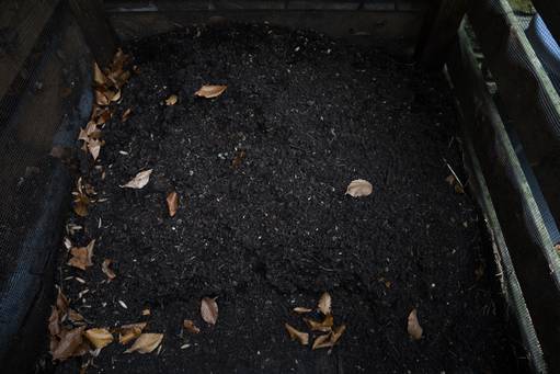 The garden at the Maryland Zoo in Baltimore thrives with compost using material collected from the zoo. The compost pile reached 120 degrees from natural gas buildup, turning it into rich soil and fetilizer.