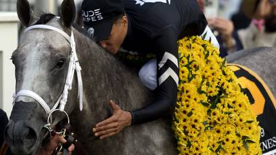 MyRacehorse allows over 2,000 to revel in Seize the Grey’s Preakness victory