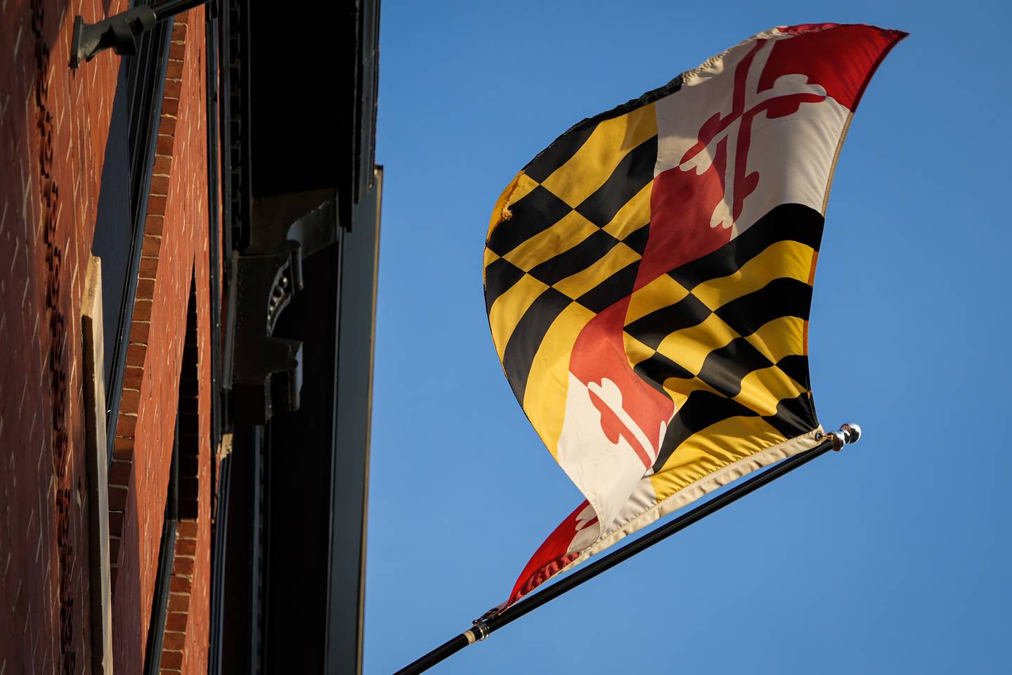 A Maryland Flag waves in the wind.