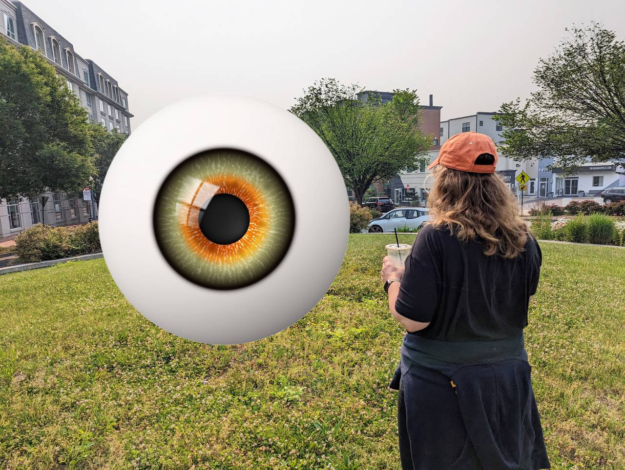 There's no electricity or water on Westgate Circle, and something shiny would distract drivers. How about a big eyeball to let everyone know they're being watched?