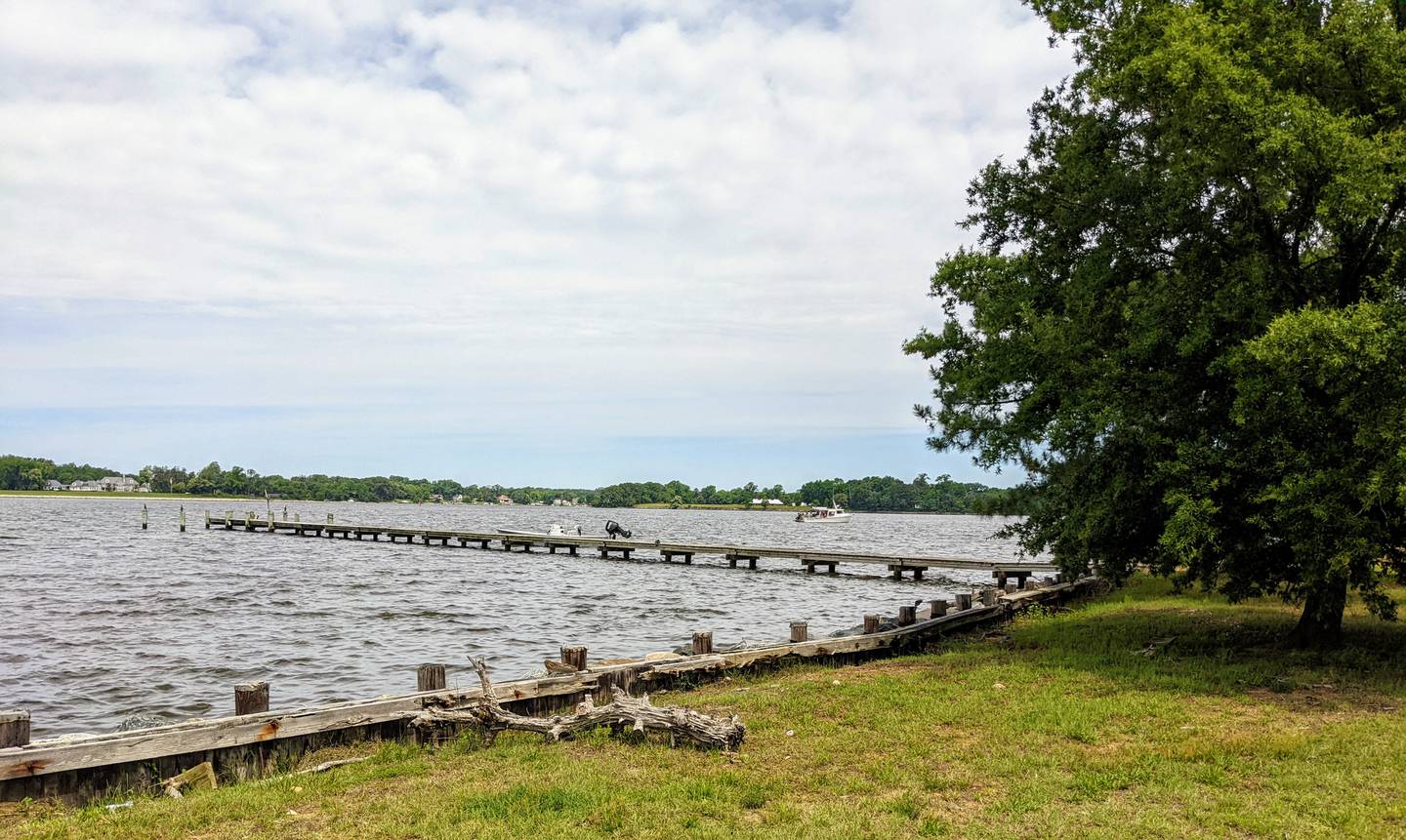 The Chesapeake Bay Foundation has posted a call for letters of interest in taking over Holly Beach Farm, a 300 acre nature preserve just outside Annapolis.