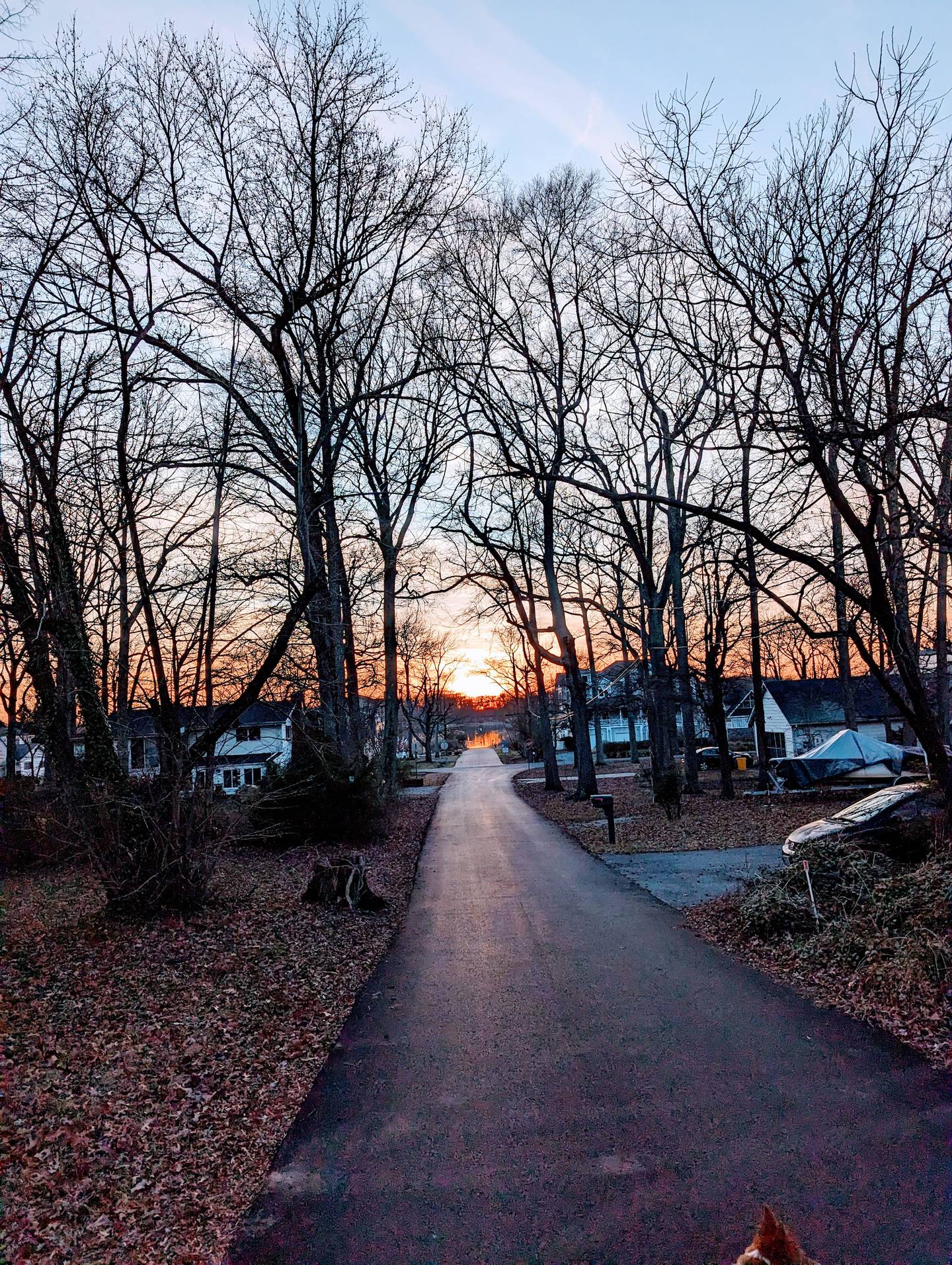 The sunset aligns with my street in February, a sign that spring is just around the corner.