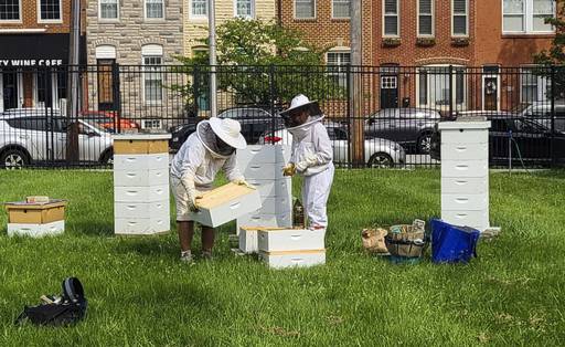 Bee keepers tending to the bees in the garden. (Photos courtesy of Dave Arndt)