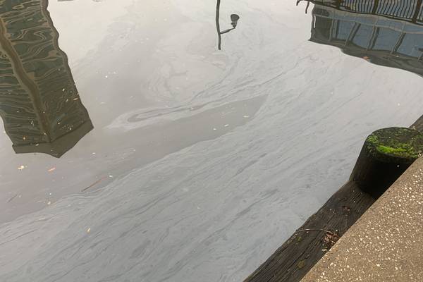 Coast Guard, state investigating oil slick in Inner Harbor, a common problem after rainstorms