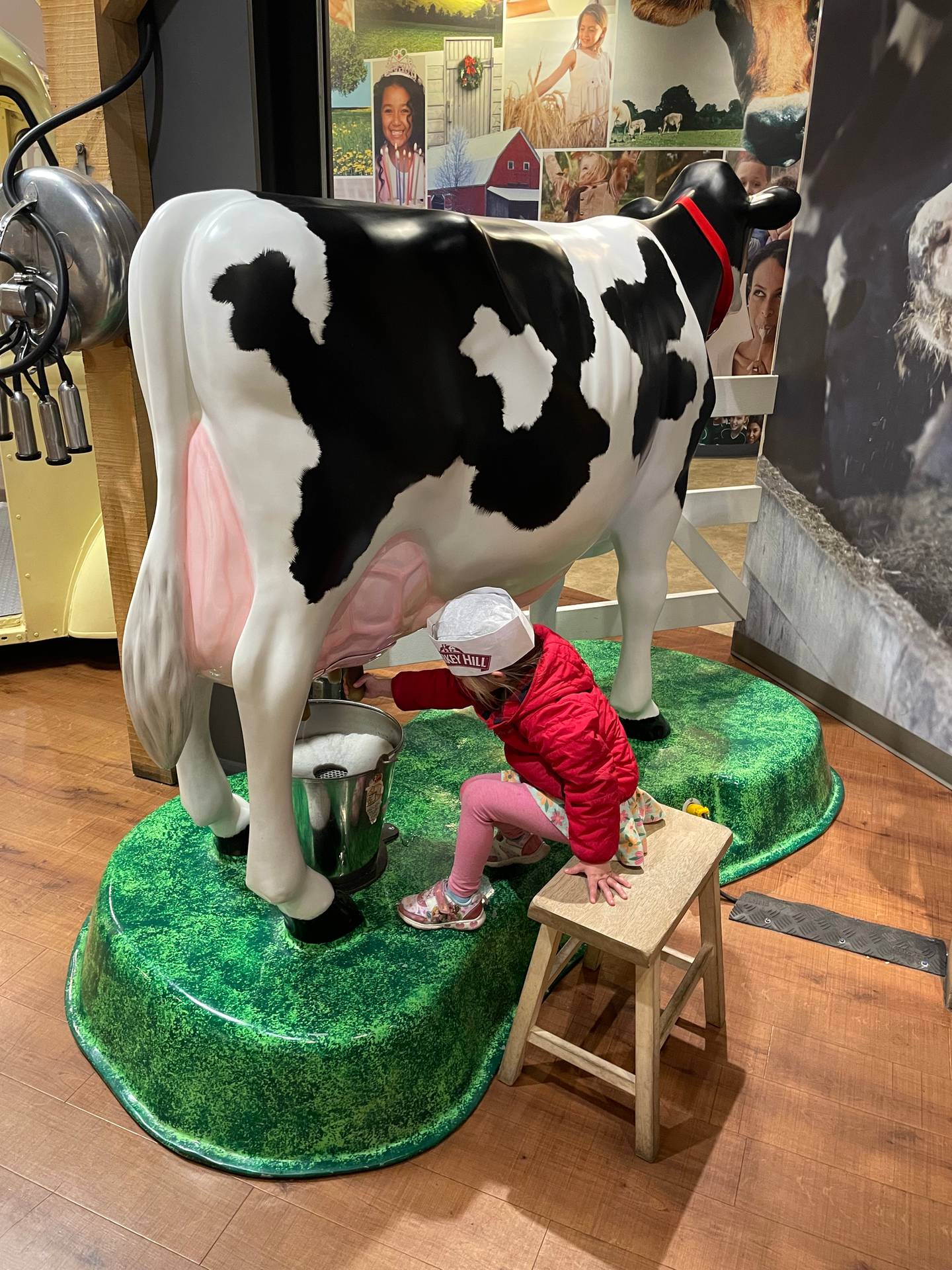 Our daughter was fascinated with the Turkey Hill Experience's simulated cow milking stations. The udders squirt water into a bucket.