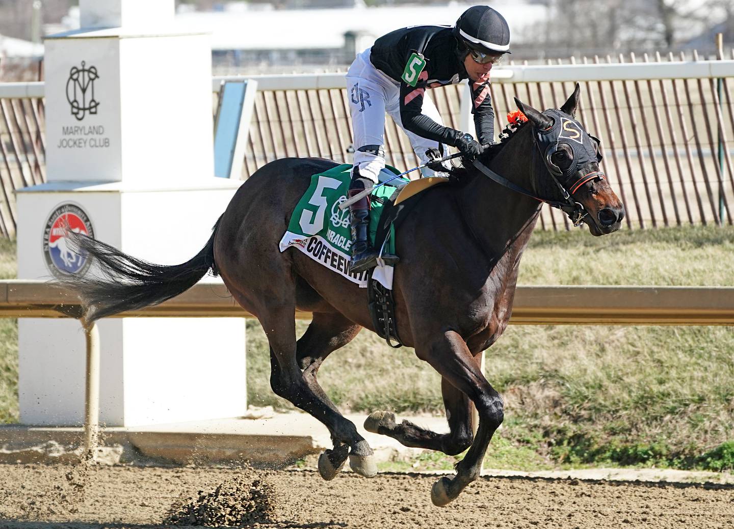 Coffeewithchris wins the Miracle Wood Stakes at Laurel Park in February 2023.