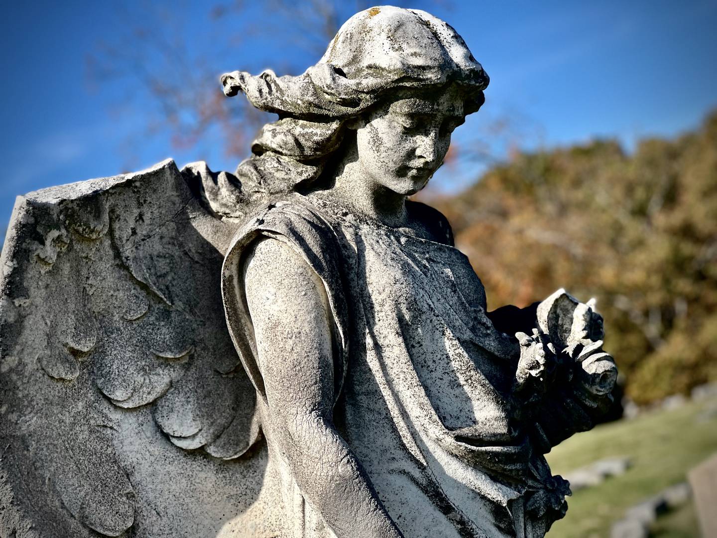 An angel statue at Woodlawn Cemetery