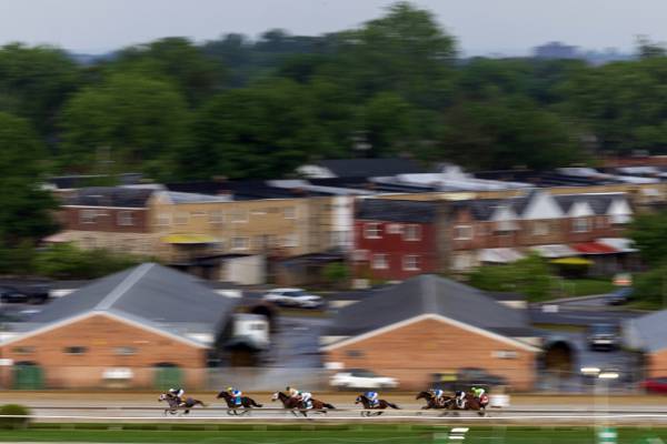 Seize The Grey leads the pack down the back during The Preakness Stakes.