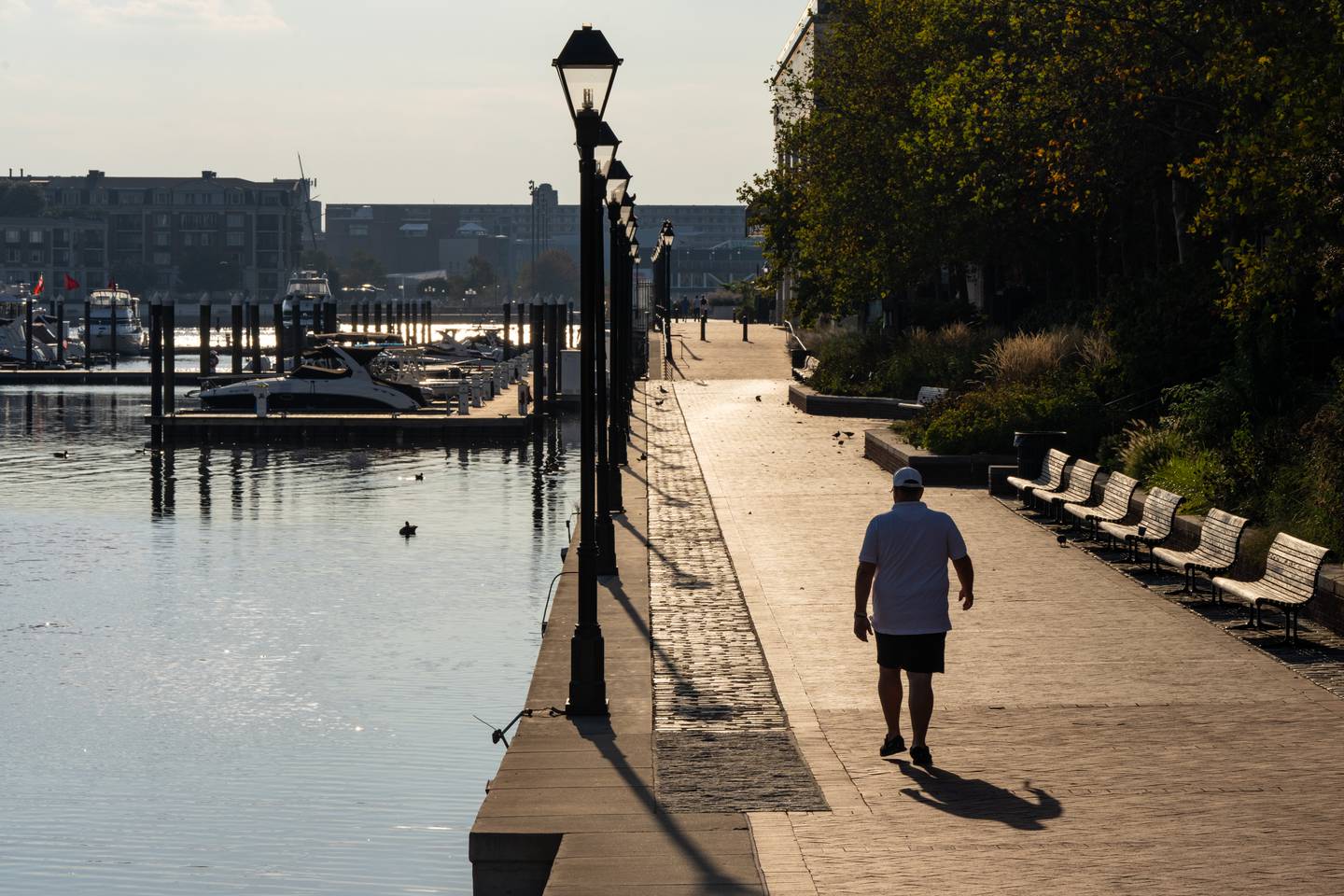 A silhouetted man walks along the harbor with nobody else in sight. Street lights divide the photo in half between the water and the walkway.
