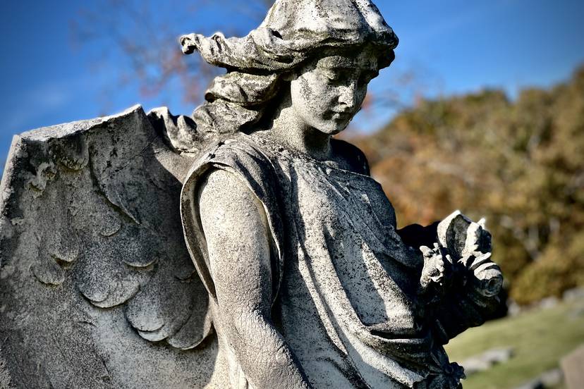 An angel statue at Woodlawn Cemetery