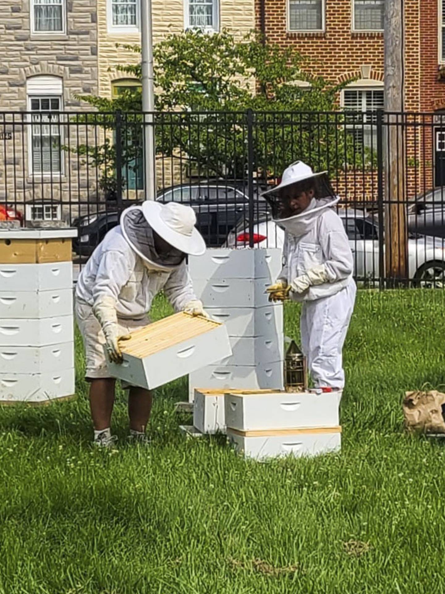 Bee keepers tending to the bees in the garden. (Photos courtesy of Dave Arndt)