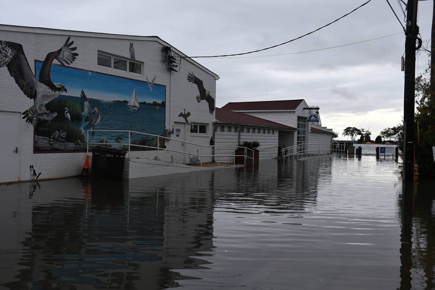 After the remains of what was once Tropical Storm Ophelia moved through Annapolis, there was some flooding on Sunday morning, Sept. 24, 2023. Floodwaters from Back Creek reached onto Second Street in Eastport at the Annapolis Maritime Museum.