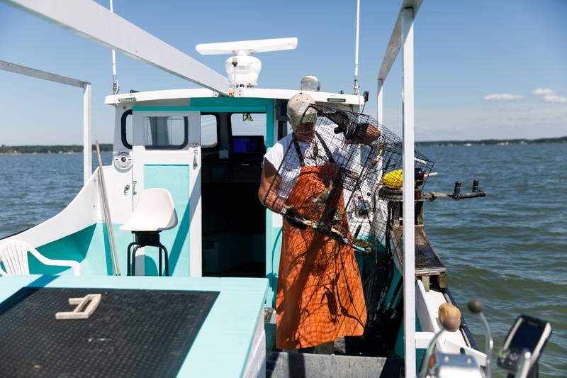 JC Hudgins empties crabs he caught in the Chesapeake Bay into a bin on Friday, June 10, 2022.
