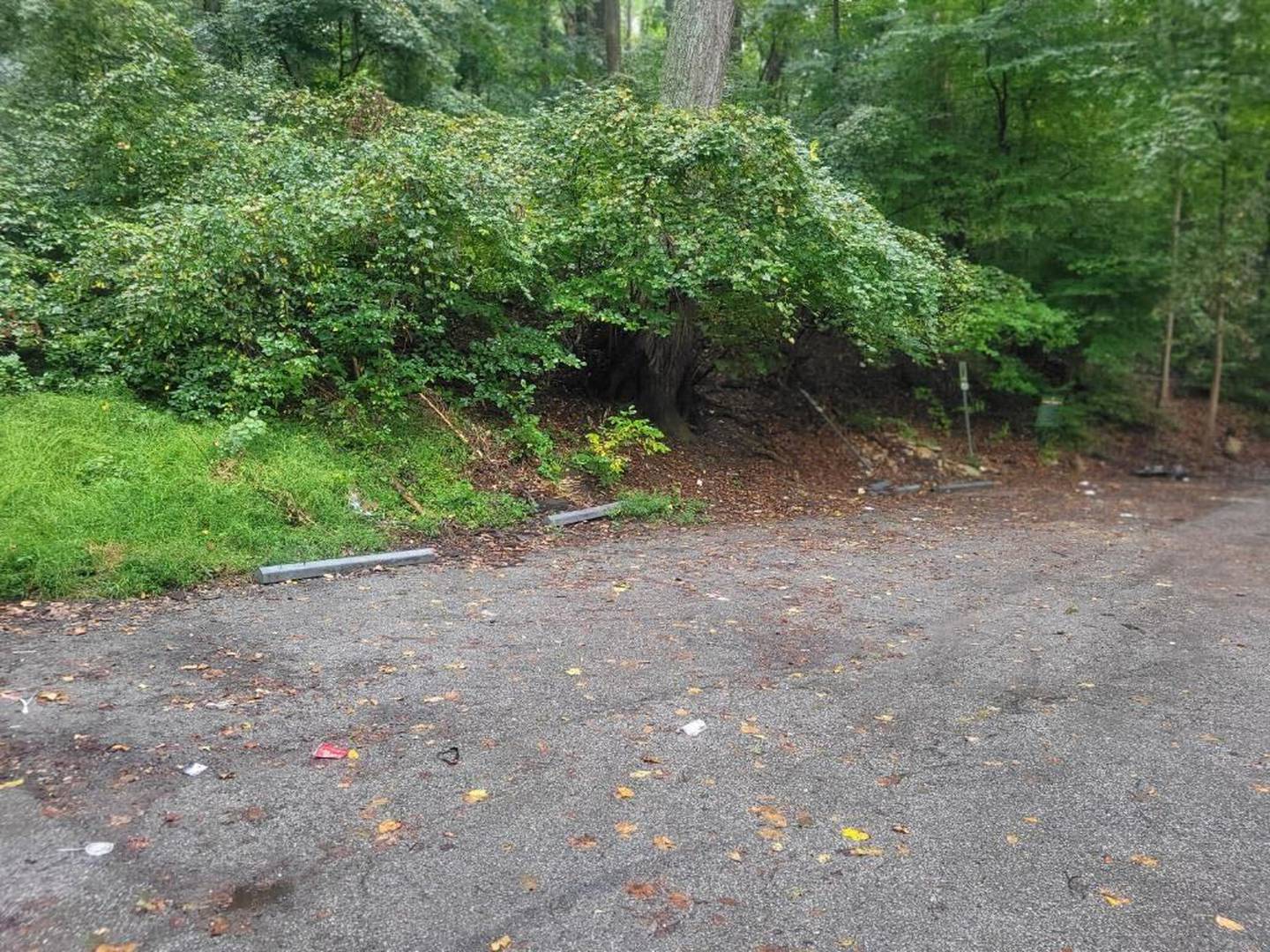 The body of a man abducted from Anne Arundel County was found in the trunk of a burning car at this site in Leakin Park. This image was taken on Thursday morning, September 22, 2022.