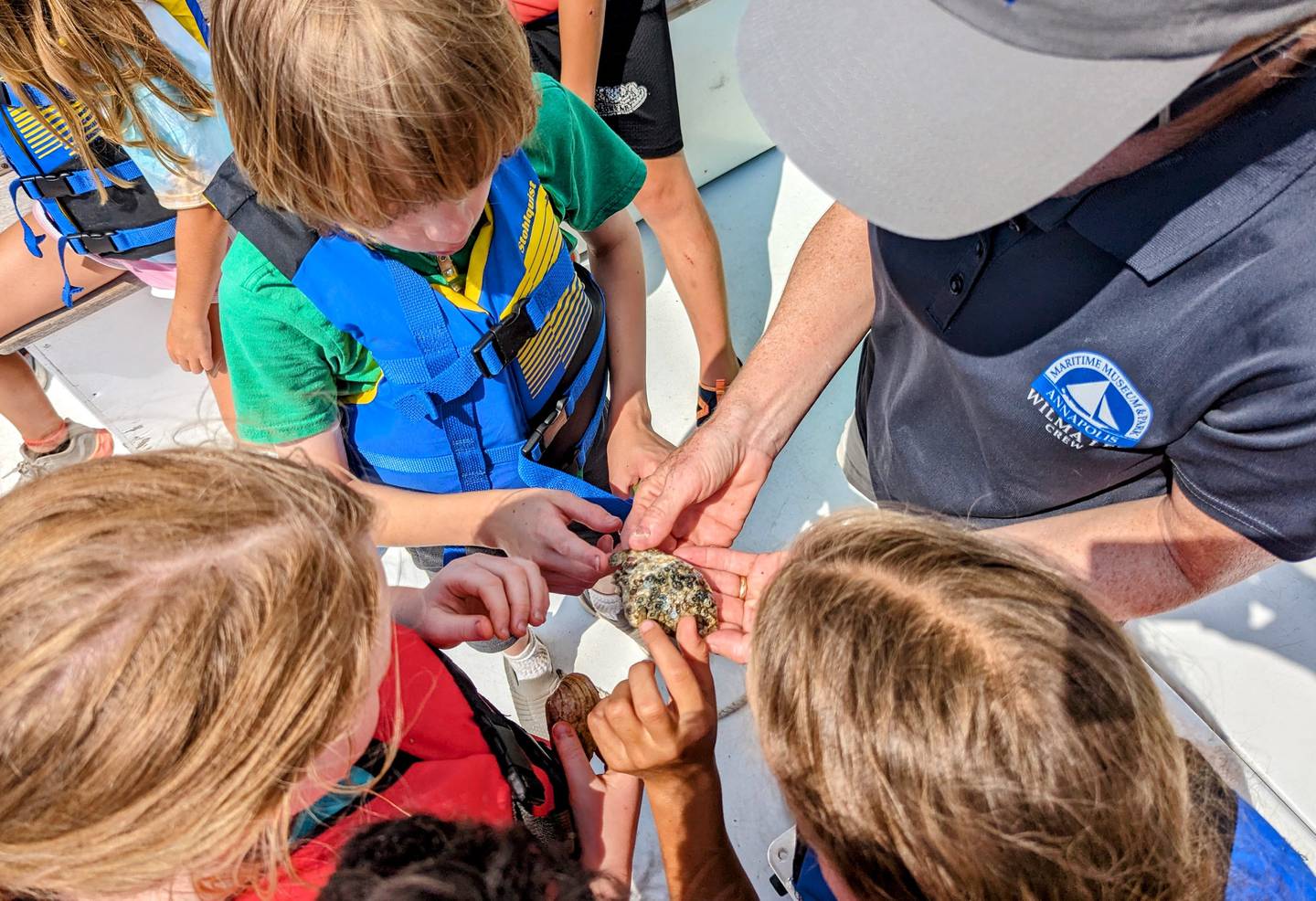 Children aboard the Wilma Lee examine a mussel brought up by the boat's mini-dredge during a midday cruise on the Chesapeake Bay.