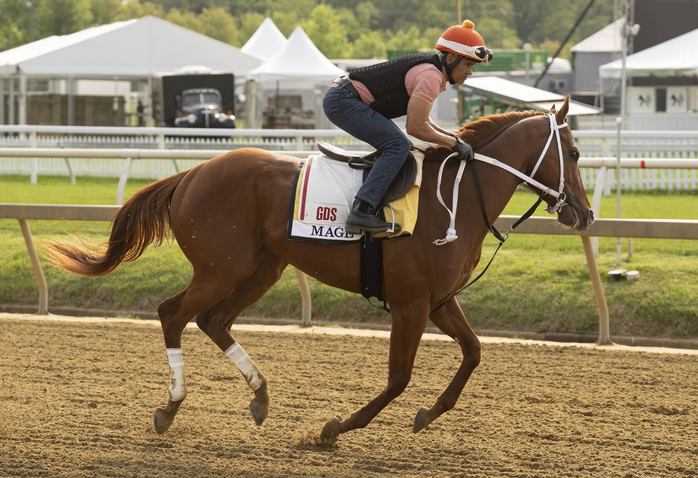 Mage works out Wednesday with exercise rider J.J. Delgado at Pimlico Race Course, Wednesday, May 17, 2023. (Jessica Gallagher/The Baltimore Banner)